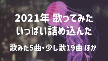 2021年歌ってみたダイジェスト【瑠乃*。】