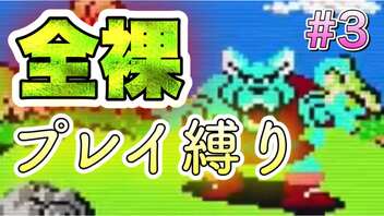 【エチエチ】勇者が全裸で竜王を討伐に出かけてみた！【ドラゴンクエスト 】#3