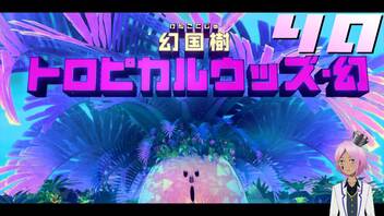 【星のカービィディスカバリー】なぜ戻れないワープスターがあるのか？【桜冠ルピナス】 #40