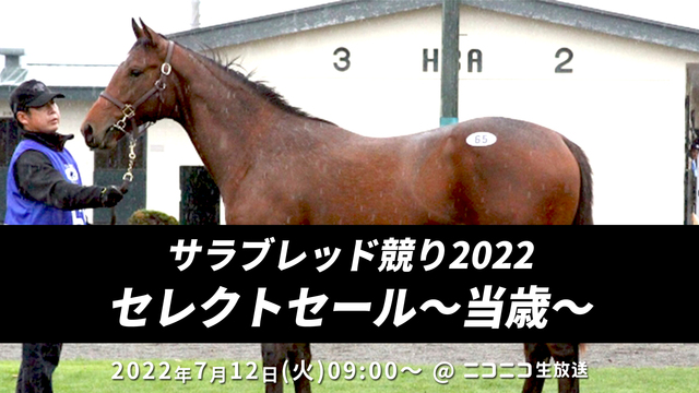 【競走馬セリ】サラブレッド競り市場2022「セレクトセール」当歳