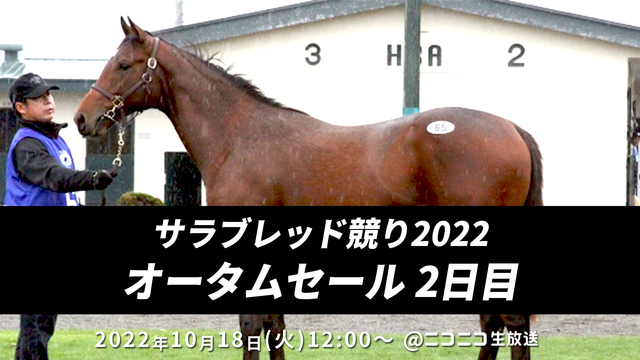 【競走馬セリ】サラブレッド競り市場2022「オータムセール」2日目