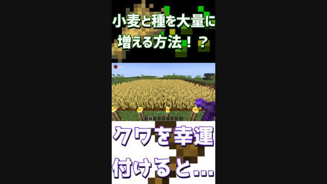 畑に大量の食べ物や作物が欲しい場合はエンチャントを付けると Shorts Minecraft マインクラフト マイクラ ニコニコ動画