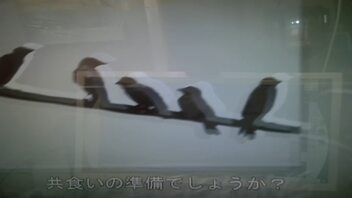 八咫カラスは家族を大切にするの烏の名を使っている