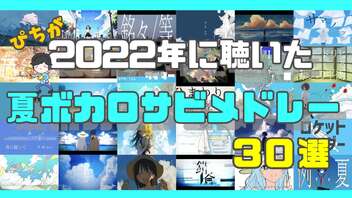 【ボカロメドレー】ぴちが2022年に聴いた夏ボカロサビメドレー30選【VOCALOID夏曲】