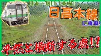 日本一短い「本線」！？日高本線に往復乗ってみた【北海道 ローカル線】