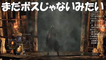 #62【ダークソウル2】まだボスじゃない初見プレイ-DARK SOULS Ⅱ SCHOLAR OF THE FIRST SIN-