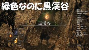 #63【ダークソウル2】緑色なのに黒渓谷かよ初見プレイ-DARK SOULS Ⅱ SCHOLAR OF THE FIRST SIN-