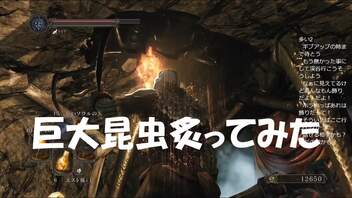 #64【ダークソウル2】巨大昆虫は無害だった初見プレイ-DARK SOULS Ⅱ SCHOLAR OF THE FIRST SIN-