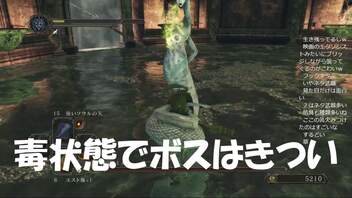 #75【ダークソウル2】毒状態でボス戦は体力もたん初見プレイ-DARK SOULS Ⅱ SCHOLAR OF THE FIRST SIN-