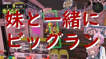 【スプラトゥーン３】ひかりバエだって淡々と【Vtuber】#ルピナス視点