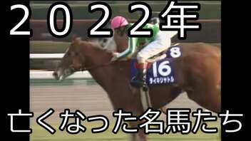 【競馬】２０２２年　亡くなった名馬たち