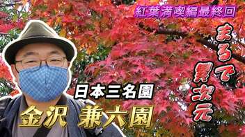 【兼六園/石川県金沢市】まるで異次元!? 日本三名園の1つにして、加賀百万石の庭園で心ゆくまで紅葉を満喫&旅の締めくくりにお抹茶飲んでまったりと楽しんでみました♪《紅葉満喫編 最終回》