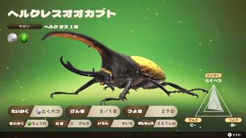 【実況】カブトクワガタをしゃくしゃくしてやるぜ　その４