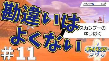 ポケモン領域狭すぎてつらい・・・色違いたんどくヨワシ１匹でポケモンソードをクリア！第１１話