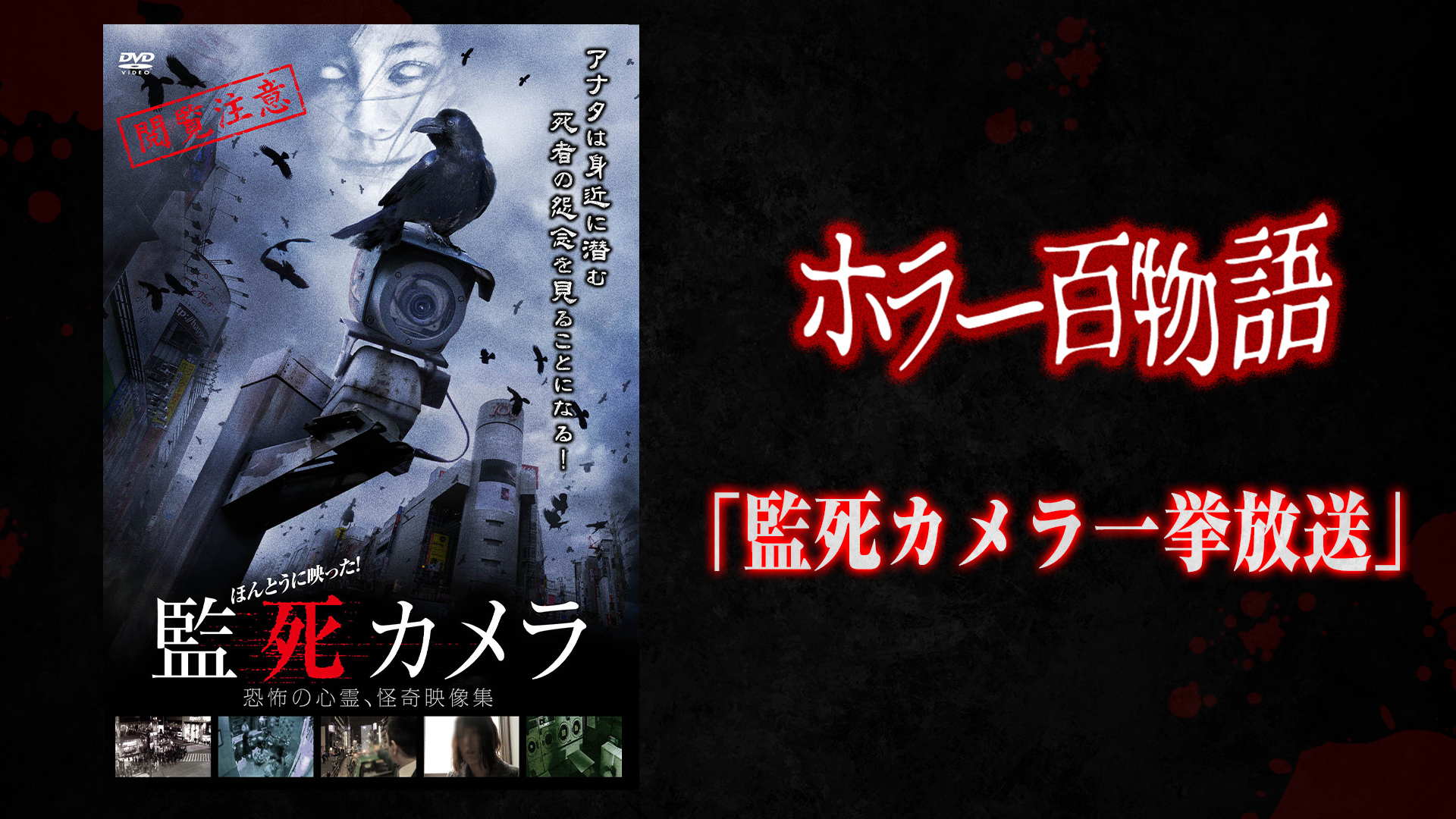 「監死カメラ」シリーズ一挙放送 / ホラー百物語