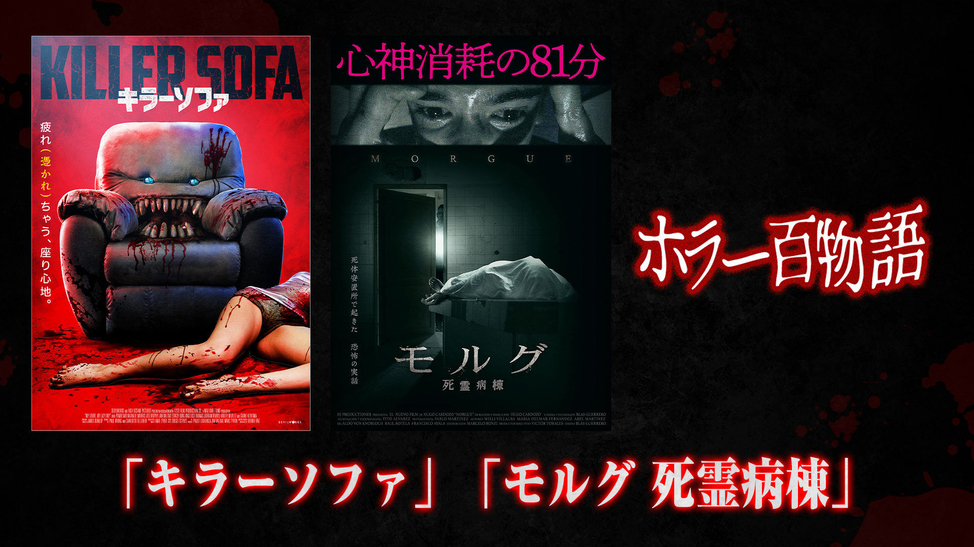 「キラーソファ」「モルグ 死霊病棟」/ ホラー百物語