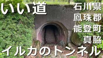 いい道　石川県鳳珠郡能登町　真脇遺跡公園のイルカのトンネル編。