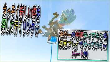 【ゼルダの伝説ティアーズオブザキングダム】神ゲーの続編ティアキンをやっていくｗ　パート20【Totk】