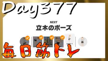 【毎日投稿】ムキ・ムキ・ムキへの道！！！【RFA負荷23】#377