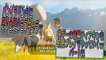 【ゼルダの伝説ティアーズオブザキングダム】神ゲーの続編ティアキンをやっていくｗ　パート21【Totk】