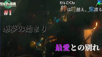 【ティアーズオブザキングダム】物語は最愛との別れから、そして悪夢が始まる…わんこくんの絆は時越え、空渡る #1