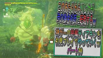 【ゼルダの伝説ティアーズオブザキングダム】神ゲーの続編ティアキンをやっていくｗ　パート30【Totk】