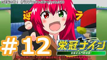 【栄冠ナイン2022】みんなで目指せ甲子園優勝！～犬小屋高校奮闘記～【ソフトウェアトーク実況】１２球目