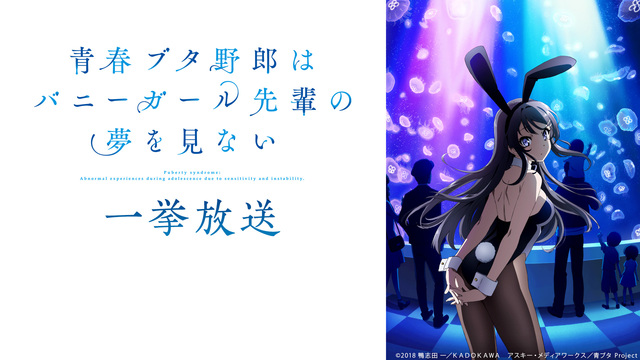 青春ブタ野郎はバニーガール先輩の夢を見ない 全13話一挙放送