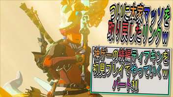 【ゼルダの伝説ティアーズオブザキングダム】神ゲーの続編ティアキンをやっていくｗ　パート31【Totk】