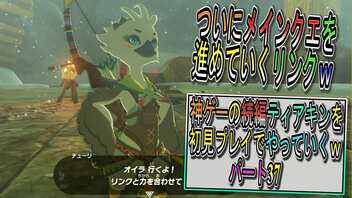 【ゼルダの伝説ティアーズオブザキングダム】神ゲーの続編ティアキンをやっていくｗ　パート37【Totk】