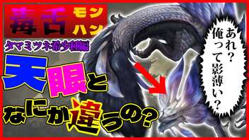 【毒舌モンハン】初登場なのに個性が特にないタマミツネ希少種に毒舌を吐きます！！！【モンスターハンターライズ：サンブレイク】