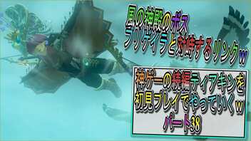 【ゼルダの伝説ティアーズオブザキングダム】神ゲーの続編ティアキンをやっていくｗ　パート38【Totk】