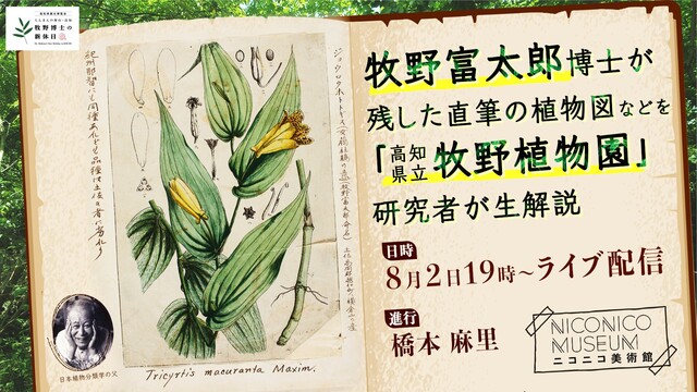 日本植物分類学の父・牧野富太郎博士が残した直筆の植物図や標本を「牧野植...