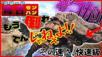 【早口毒舌】限られた狩猟時間で毒舌を言いまくるスピード毒舌モンハンが大変過ぎた！！！【モンスターハンターライズ：サンブレイク】