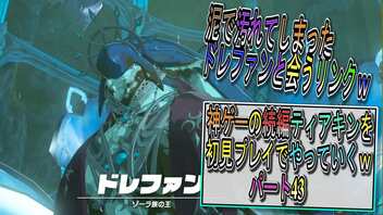 【ゼルダの伝説ティアーズオブザキングダム】神ゲーの続編ティアキンをやっていくｗ　パート43【Totk】