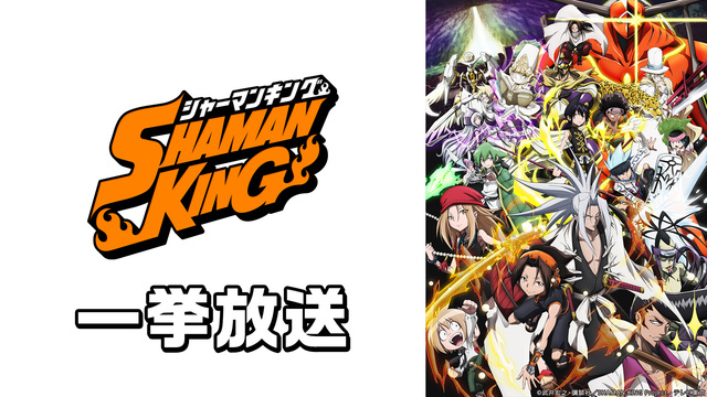 SHAMAN KING 1～13話一挙放送