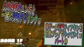 【ゼルダの伝説ティアーズオブザキングダム】神ゲーの続編ティアキンをやっていくｗ　パート49【Totk】