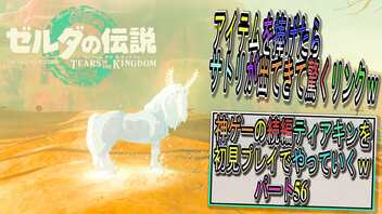 【ゼルダの伝説ティアーズオブザキングダム】神ゲーの続編ティアキンをやっていくｗ　パート56【Totk】