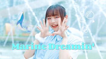 【ものくま】Marine Dreamin' 踊ってみた【夏！！！】