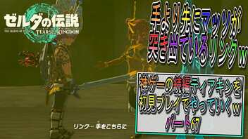 【ゼルダの伝説ティアーズオブザキングダム】神ゲーの続編ティアキンをやっていくｗ　パート67【Totk】