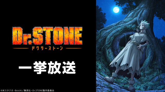 Ｄｒ．ＳＴＯＮＥ　第３期(第1クール) 全11話一挙放送