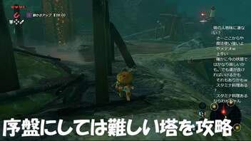 #19【ゼルダの伝説 ブレス オブ ザ ワイルド】この塔序盤にしては鬼畜過ぎるだろ！