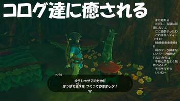 #21【ゼルダの伝説 ブレス オブ ザ ワイルド】コログの可愛さに癒されよう！