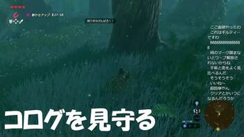 #22【ゼルダの伝説 ブレス オブ ザ ワイルド】コログの森のほこら試練その1！