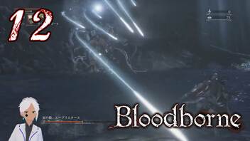 【初見ステージ突入】ノリで24レベ縛りのBloodborne #12