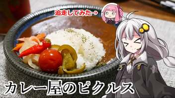 釣れなくても料理！カレーに合うピクルス（追走）！【VOICEROIDキッチン】