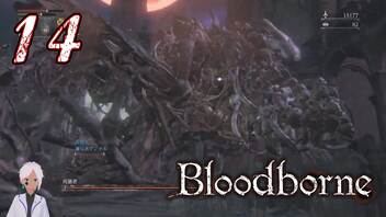 【初見】ノリで24レベ縛りのBloodborne #14