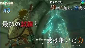 【ティアーズオブザキングタム】古の導きに従い、歩みを進めるリンクに最初の試練が… わんこくんの絆は時越え、空渡る #3