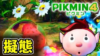 【ピクミン4実況 Part7】新人隊員とダンドリバトル その2【PIKMIN4】