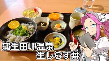 めたん紀行　蒲生田岬温泉生しらす丼！【VOICEROID車載】